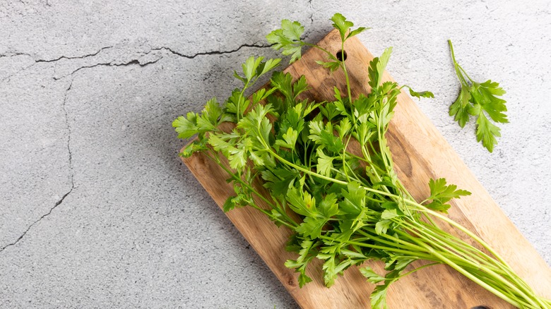 Fresh parsley on the cutting board