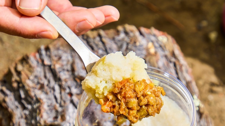 hand holding spoonful of food