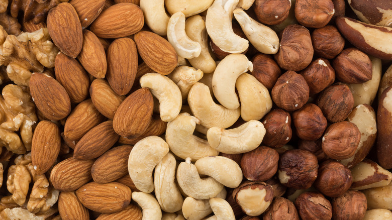 A full frame of various nuts up close