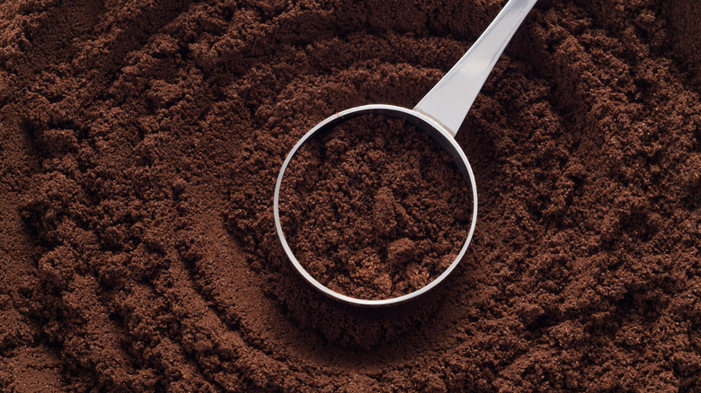 A full frame of espresso powder with a scoop