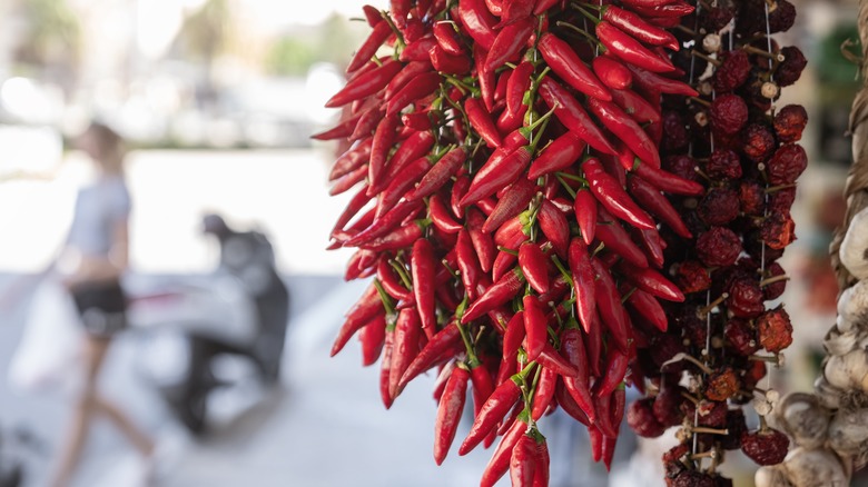 Bunches of Calabrian chili peppers hanging at a market