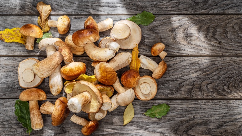 Fresh mushrooms on a wooden picnic table