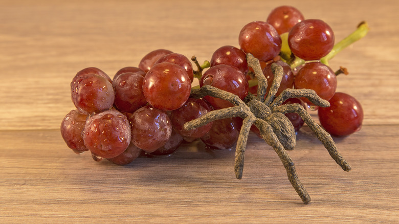 Tarantula crawls across red grapes on wood table.