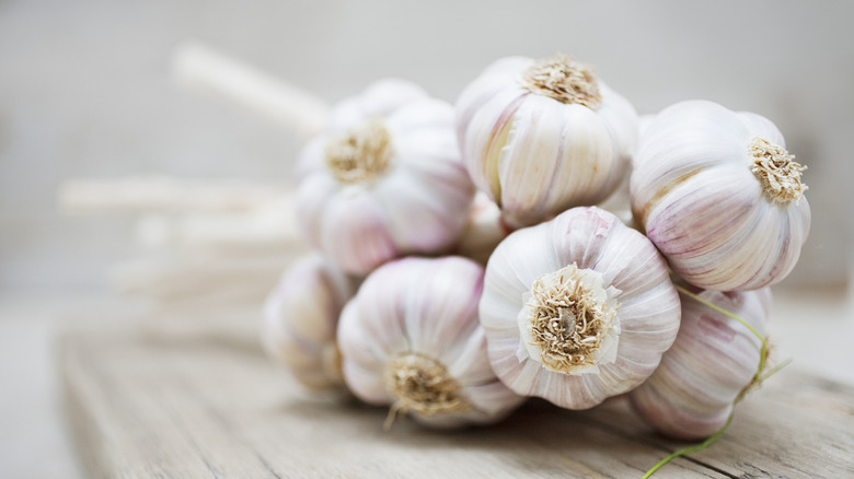 white garlic on white background