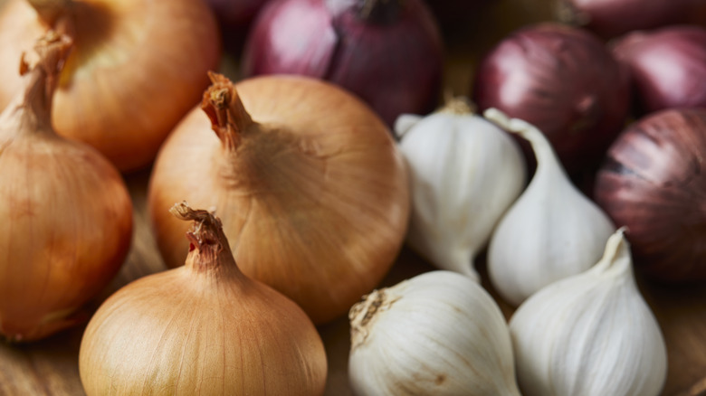 onions, shallots, and garlic