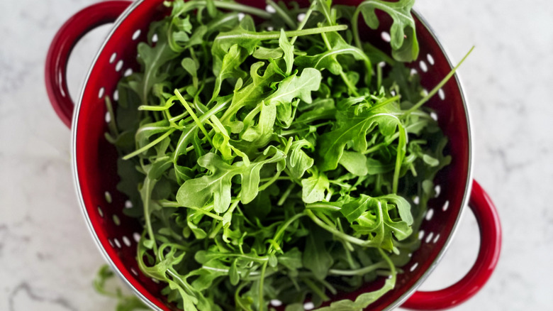 colandar of arugula