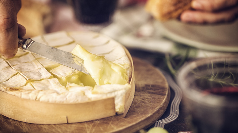 Bowls of baked Camembert cheese