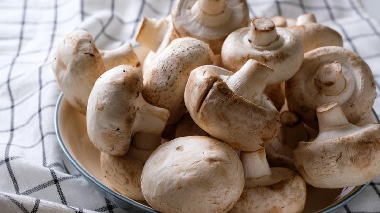 Bowl of mushrooms on a checkered towel