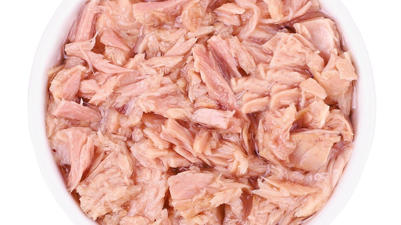 Close up of canned tuna