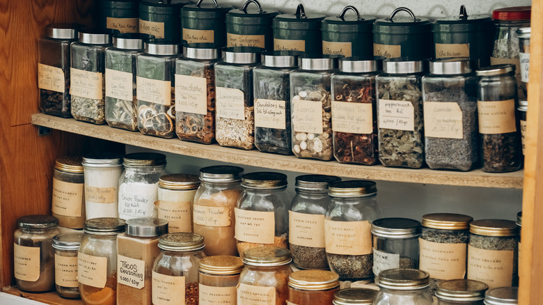 Many hand-labeled spices on shelves