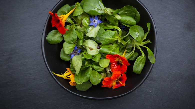 nasturtium flowers in salad bowl