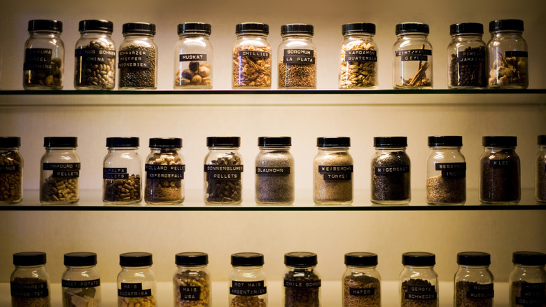 spice jars lined up on shelves