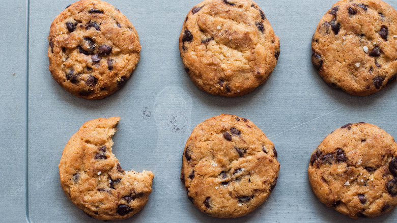 sheet of 6 chocolate chip cookies, one already bitten