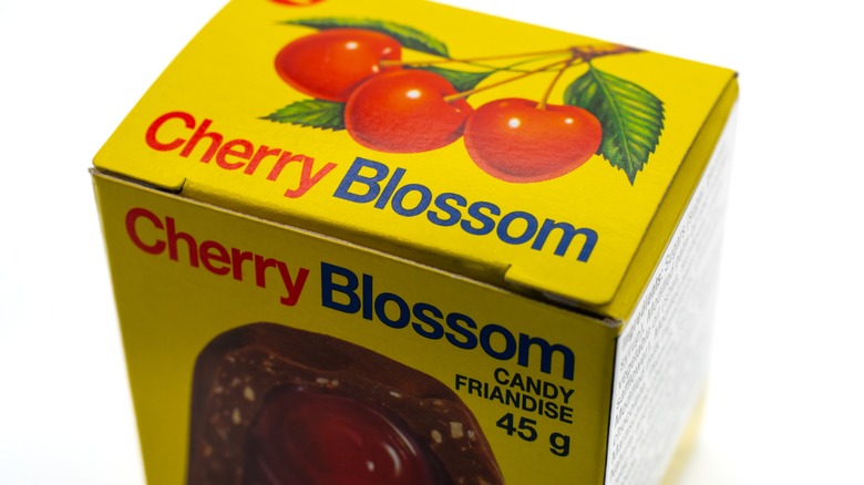 Cherry Blossom box on white background