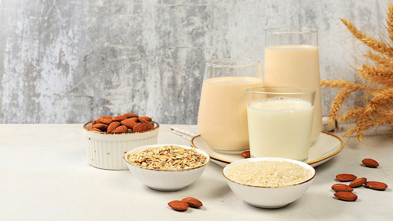 arrangement of alternative milks and their ingredients