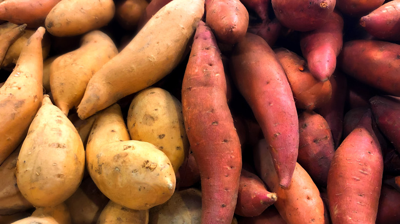sweet potato selection