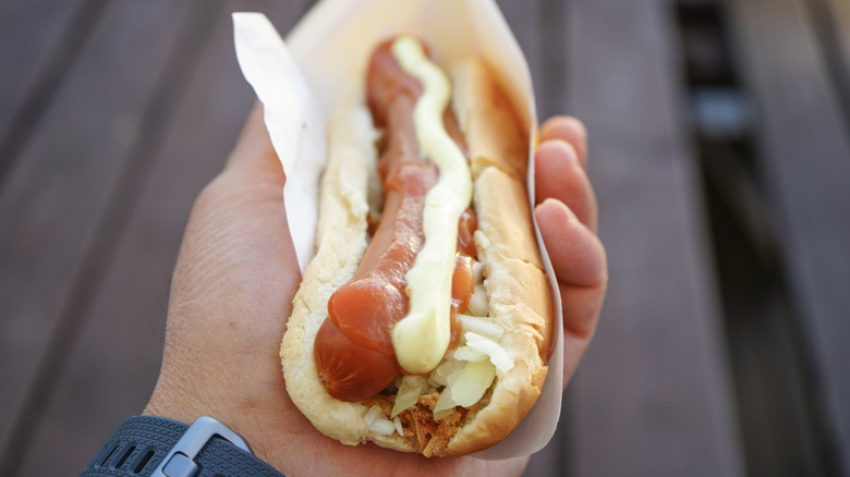 hand holding Icelandic hotdog with all the trimmings