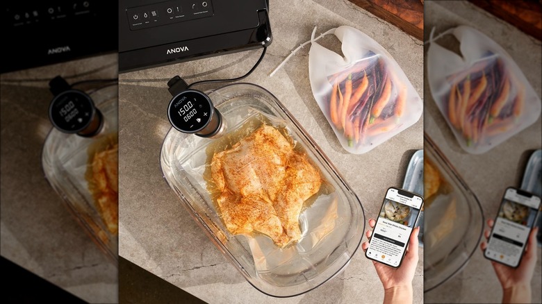 Anova Sous Vide Cooker 3.0