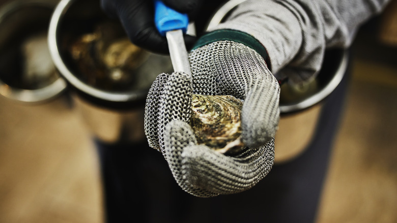 Shucking oysters with knife and glove