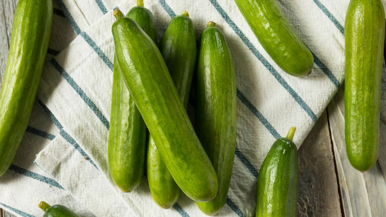 close up of Persian cucumber slices on white and blue striped towels