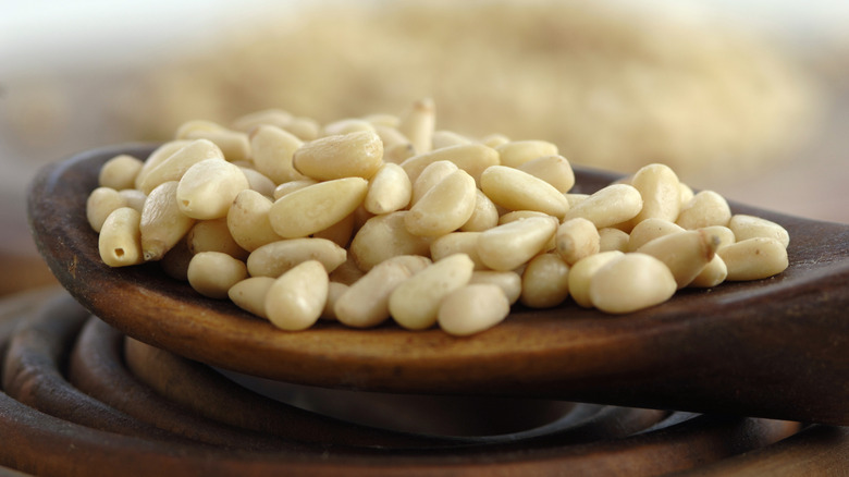 pile of pine nuts on wooden spoon