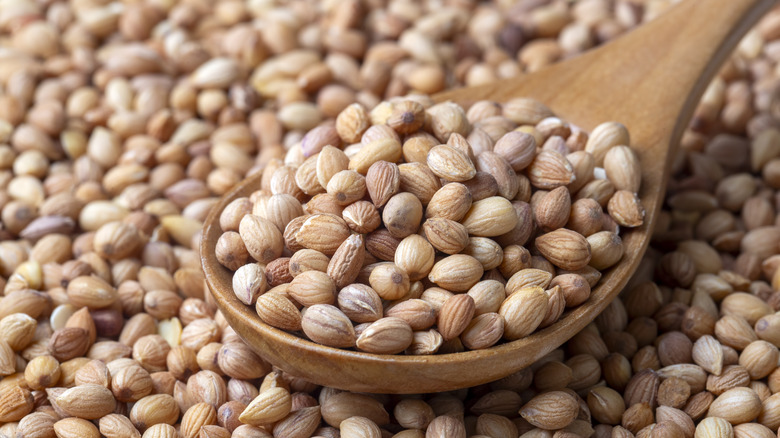 brown Mahlab seeds on spoon