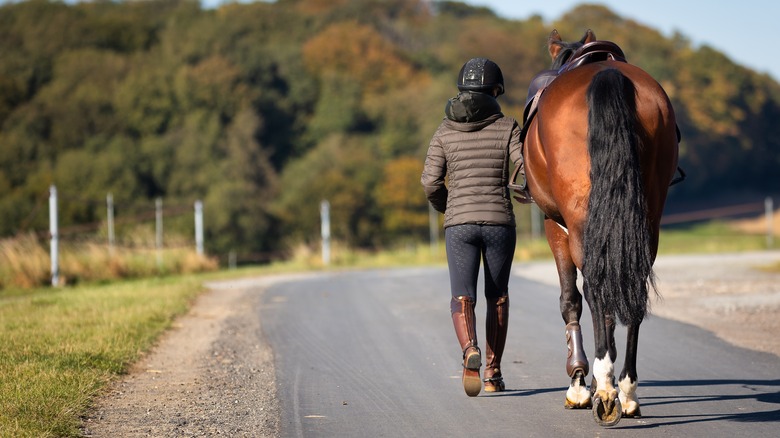 woman walking with horse