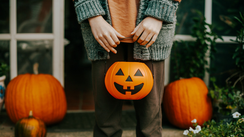 person holding pumpkin basket