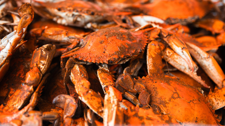 Steamed crabs with JO seasoning on top