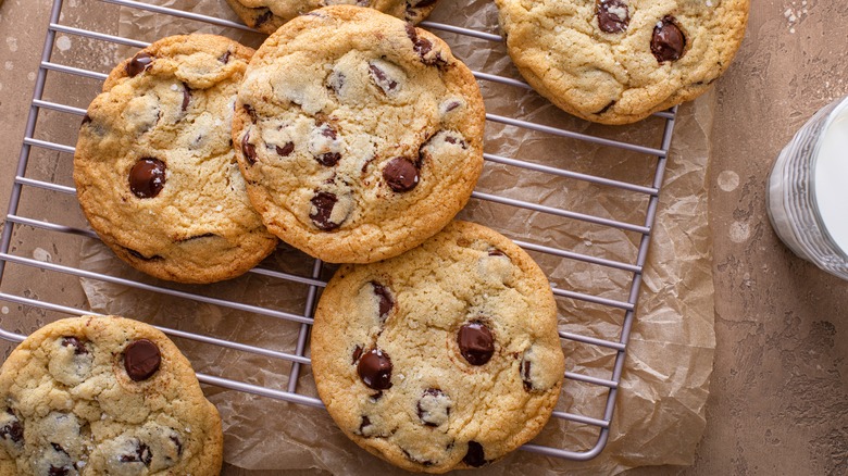 Chocolate chip cookies on a drying rack