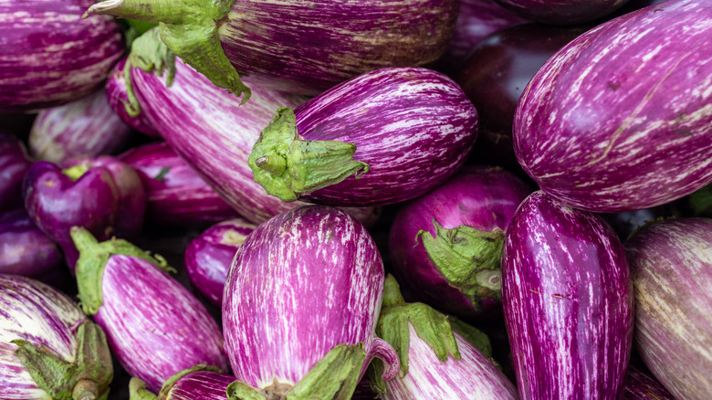 Purple striped eggplant