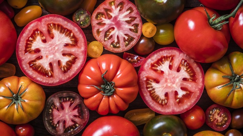 Various tomato species