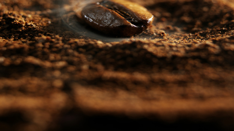 Closeup of a coffee bean