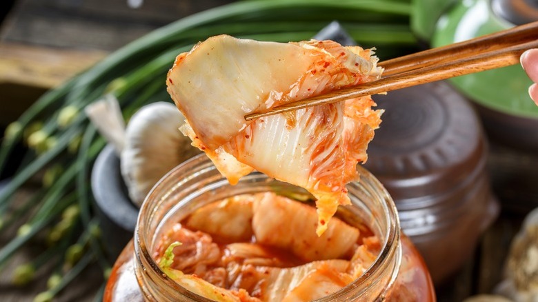 Chopsticks lifting a piece of fermented kimchi