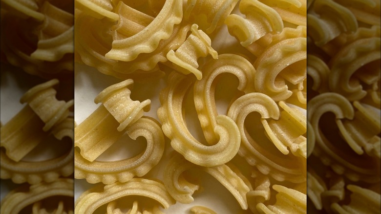 Cascatelli noodles together