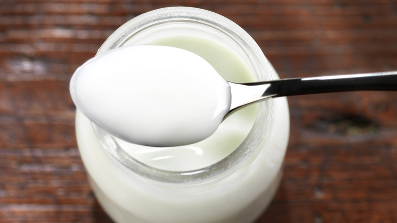 a jar of plain yogurt with a spoon