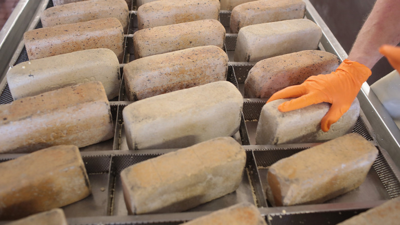 Wisconsin brick cheese being made with bricks