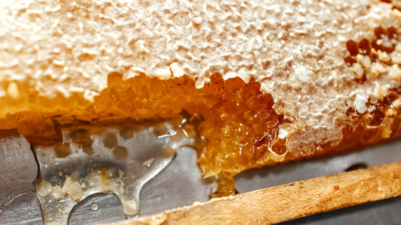 A sheet of honeycomb close up on a tray.