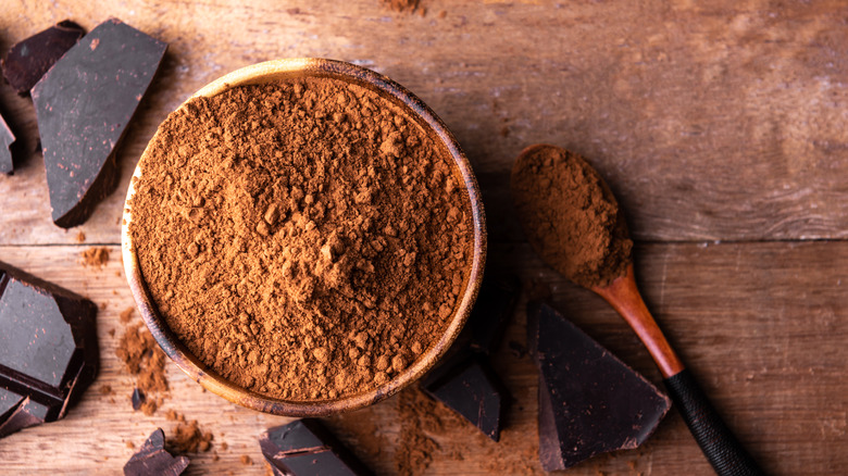 Bowl of cocoa powder with spoon