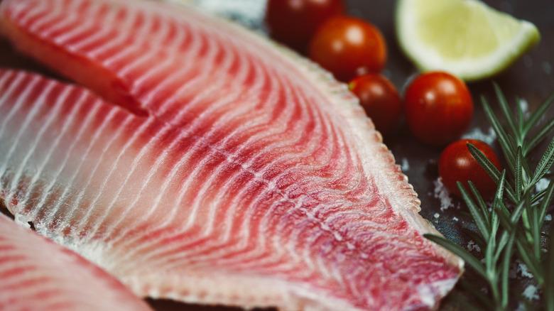 Raw tilapia tomatoes and rosemary