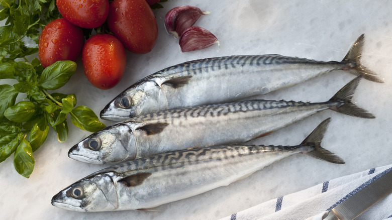 Mackerel, parsley, and tomatoes