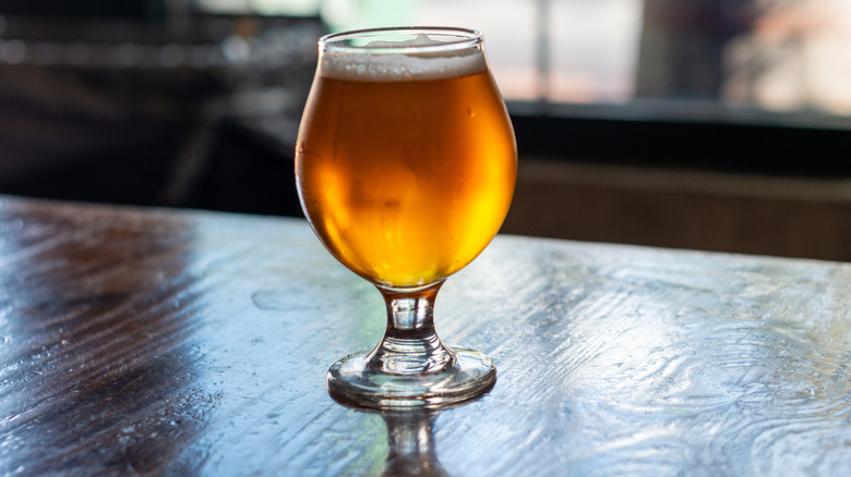 Blonde ale in tulip glass