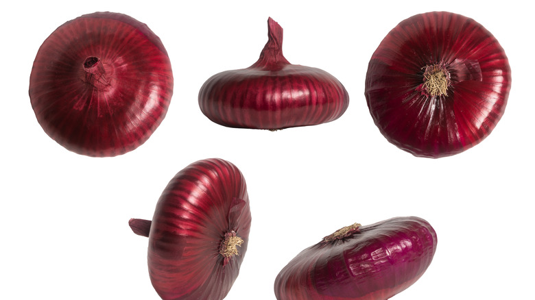 purple cipollini onions on white background