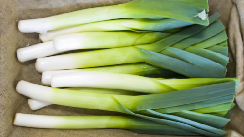 bunch of trimmed and piled leeks