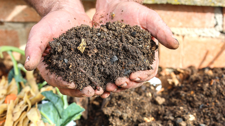 Hands holding compost over a compost pile