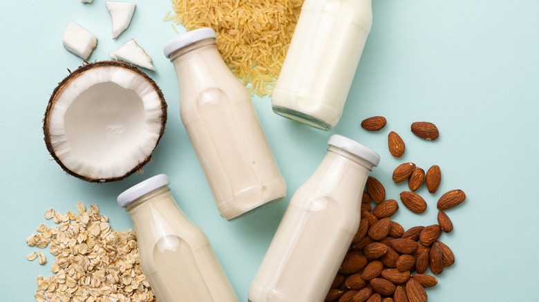 Bottles of different types of plant based milk