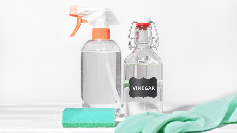 clear bottle labelled with the word vinegar next to a sponge and gloves