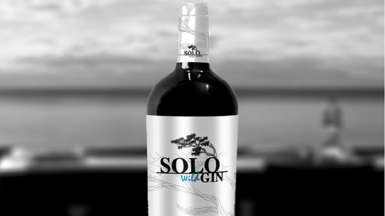 Solo Wild Gin on grey background