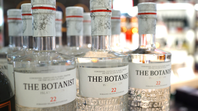 Bottle of The Botanist Gin