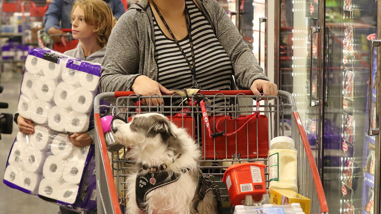 Woman shopping in Costco with a service dog